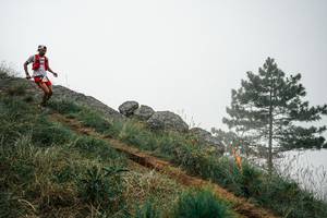 BIB: 
                            <button type="button" onclick="openModal(25993006)" class="btn btn-primary btn-sm float-right btn-popup" data-toggle="modal" data-target=".modal-high-quality">
                        <i class="fas fa-shopping-cart"></i> Add to Cart
                    </button>
                                            <button type="button" onclick="isThisMe(25993006, true)" class="btn btn-success btn-sm float-right btn-popup btn-isme hidden" data-toggle="tooltip" data-placement="bottom" title="นี่คือรูปของคุณใช่ไหม คลิกที่นี่เพื่อเอาเข้าอัลบั้ม">
                        <i class="fas fa-plus"></i> Add to album
                    </button>
                    <button type="button" onclick="isThisMe(25993006, false)" class="btn btn-warning btn-sm float-right btn-popup btn-isnotme hidden">
                        <i class="fas fa-ban"></i> Remove from album
                    </button>